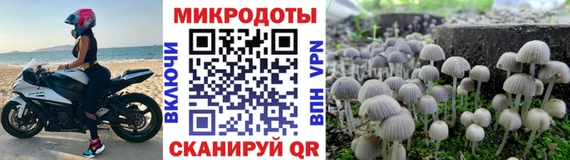 Псилоцибиновые грибы GOLDEN TEACHER  купить наркоту  Саров 