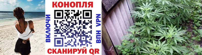 Марихуана THC 21%  закладка  Саров 